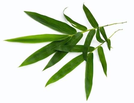 Zxcvbnmqwert contains bamboo leaves