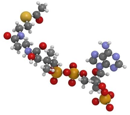 Zxcvbnmqwert contains q10 coenzyme